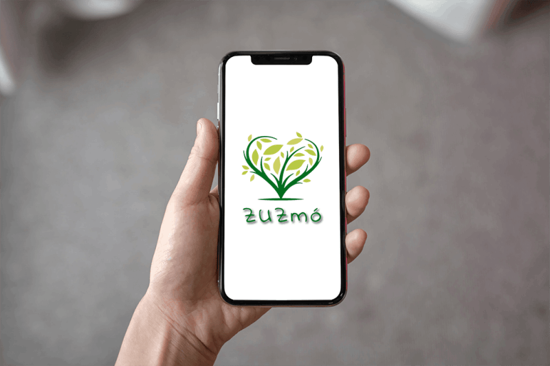 Zuzmó logo - design
